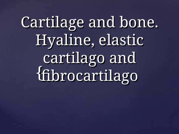 Cartilage and bone. Hyaline, elastic cartilago and fibrocartilago