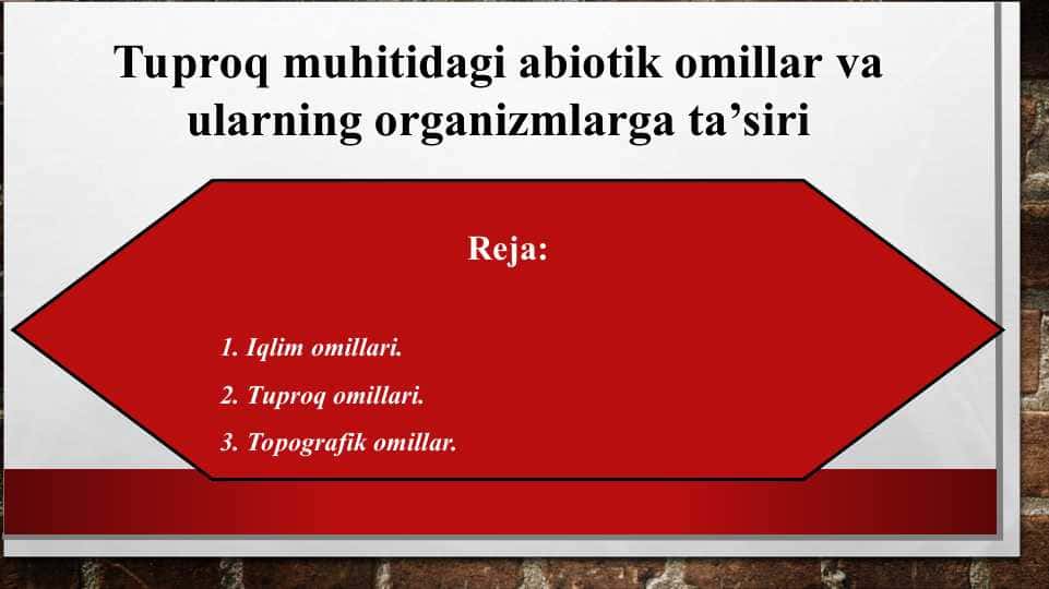 Tuproq muhitidagi abiotik omillar va ularning organizmlarga ta’siri
