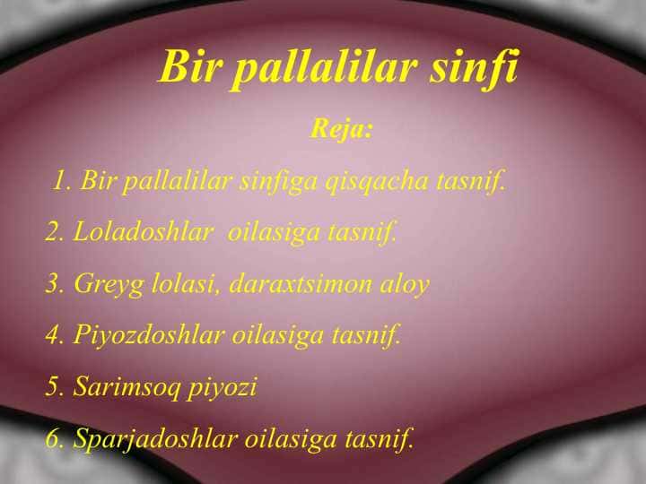 Bir pallalilar sinfi