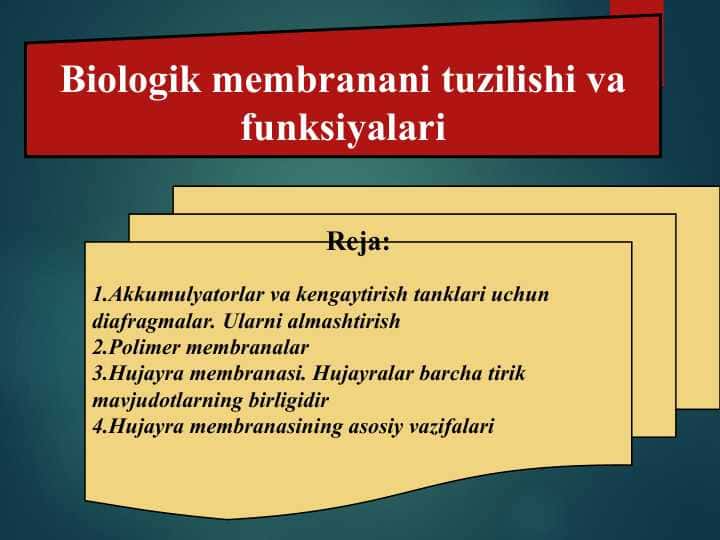 Biologik membranani tuzilishi va funksiyalari