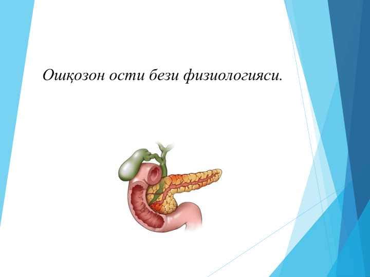 Ошқозон ости бези физиологияси