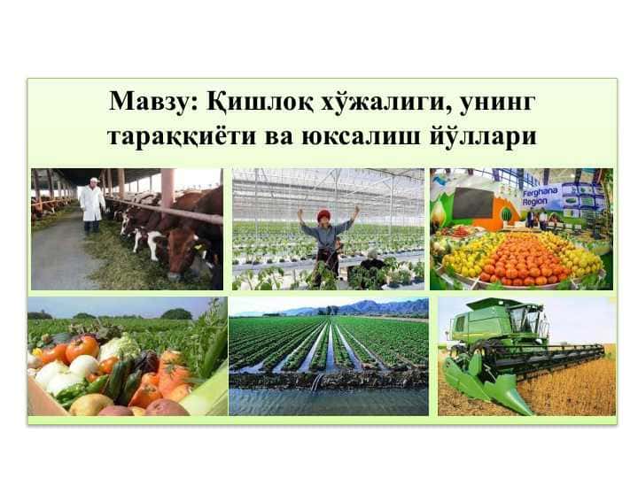 Қишлоқ хўжалиги, унинг тараққиёти ва юксалиш йўллари