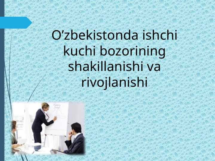 O’zbekistonda ishchi kuchi bozorining shakillanishi va rivojlanishi