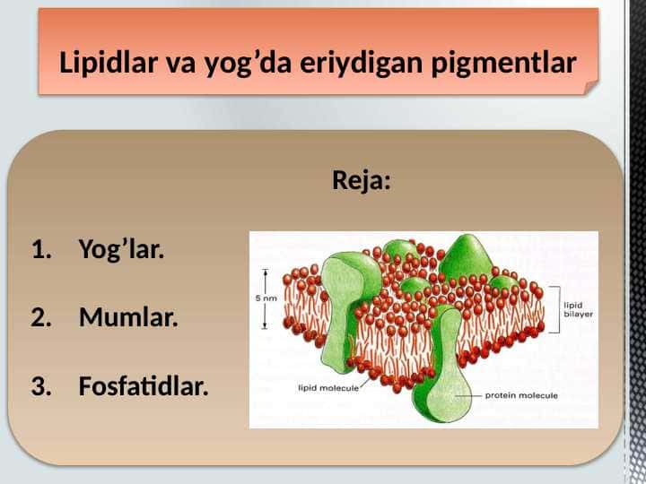 lipidlar va yog’da eriydigan pigmentlar