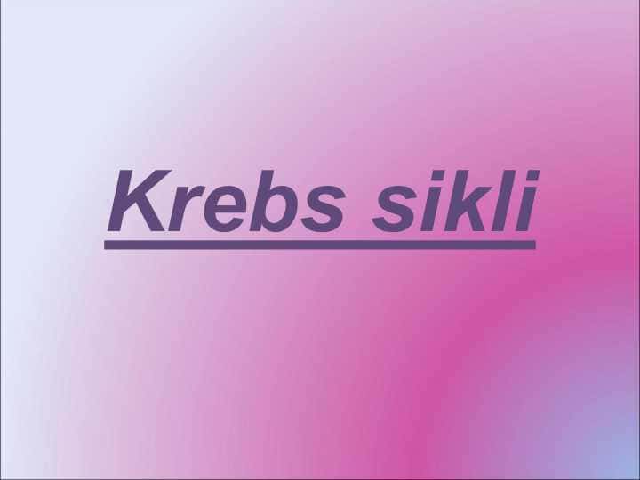 Krebs sikli