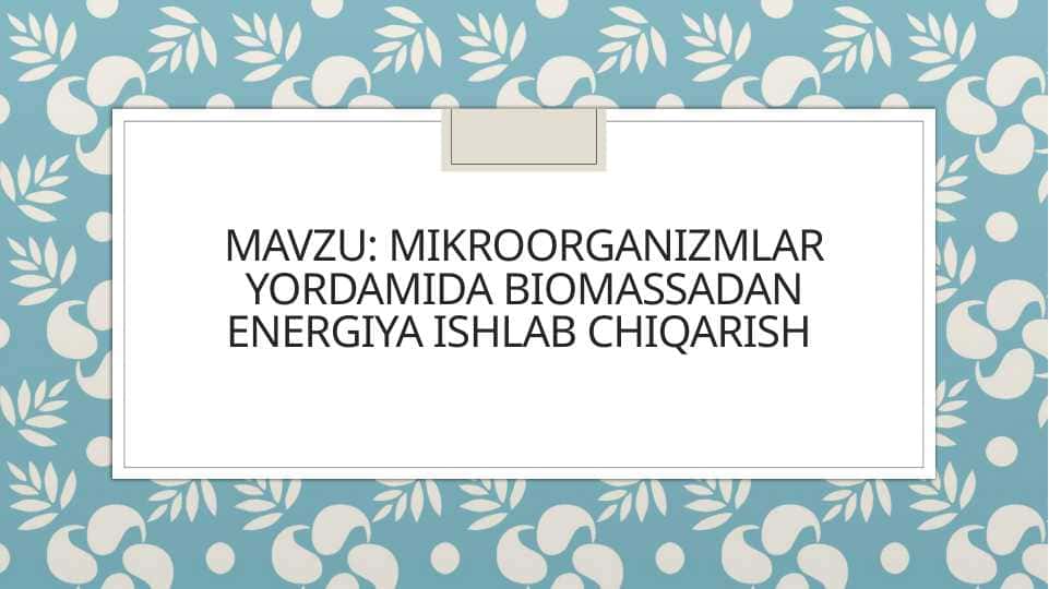 Mikroorganizmlar yordamida biomassadan energiya ishlab chiqarish