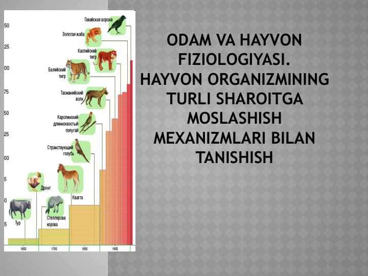 odam va hayvon fiziologiyasi.hayvon organizmining turli sharoitga moslashish mexanizmlari bilan tanishish