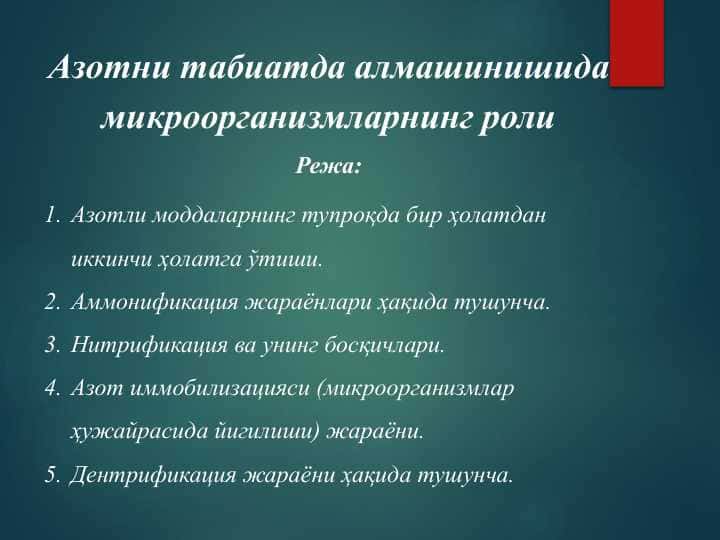 Азотни табиатда алмашинишида микроорганизмларнинг роли (2)