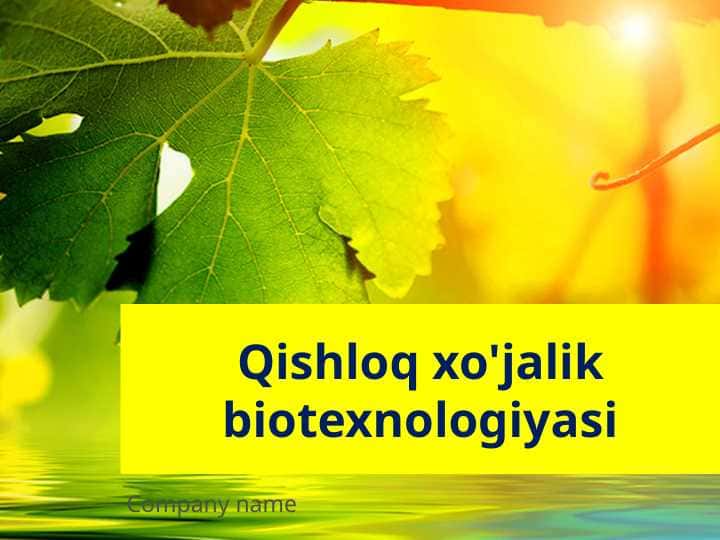 Qishloq xo'jalik biotexnologiyasiQishloq xo'jalik biotexnologiyasi