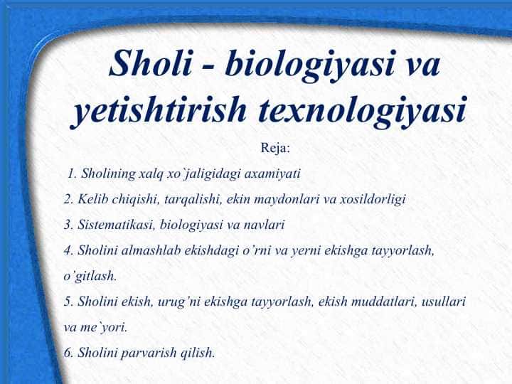 Sholi - biologiyasi va yetishtirish texnologiyasi