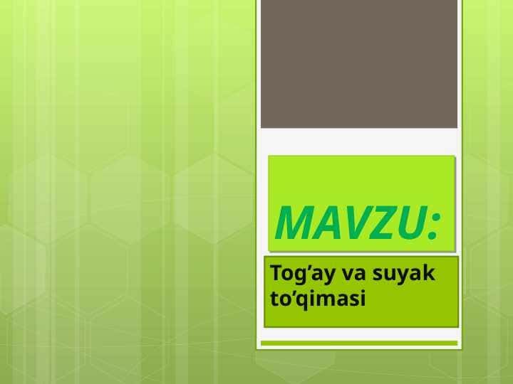 Tog’ay va suyak to’qimasi