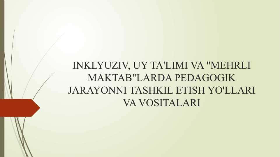 INKLYUZIV, UY TA'LIMI VA "MEHRLI MAKTAB"LARDA PEDAGOGIK JARAYONNI TASHKIL ETISH YO'LLARI VA VOSITALARI