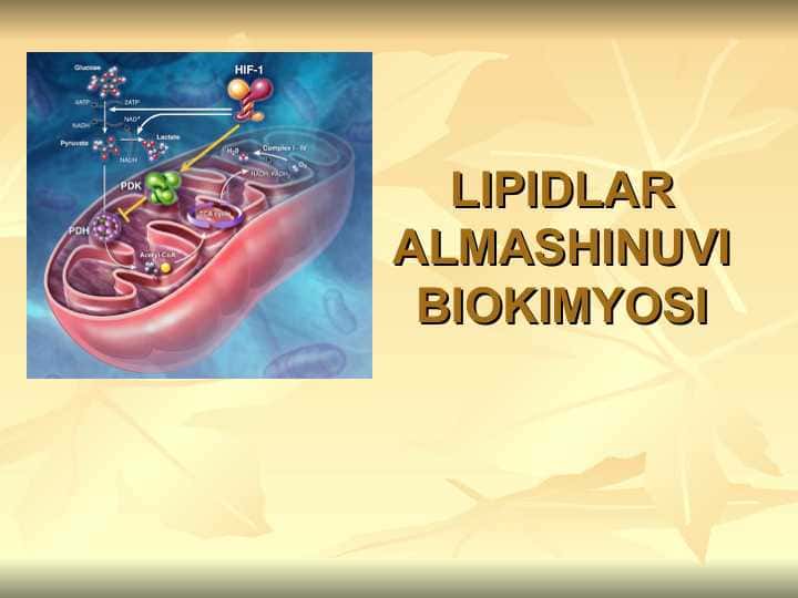 LIPIDLAR ALMASHINUVI BIOKIMYOSI