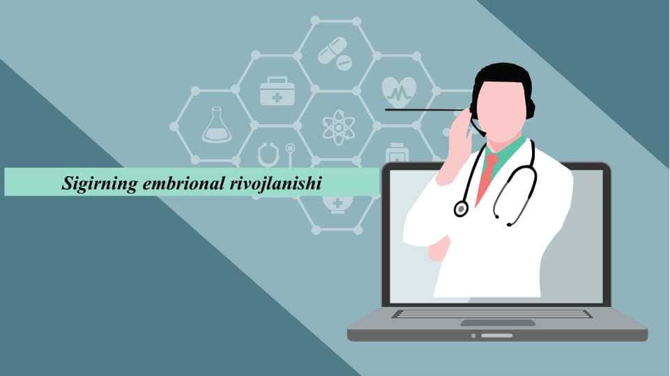 Sigirning embrional rivojlanishi