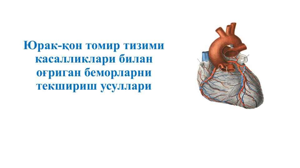 Yurak qon tomir tizimi bilan kasallangan bemorlarni parvarish qilish pptx
