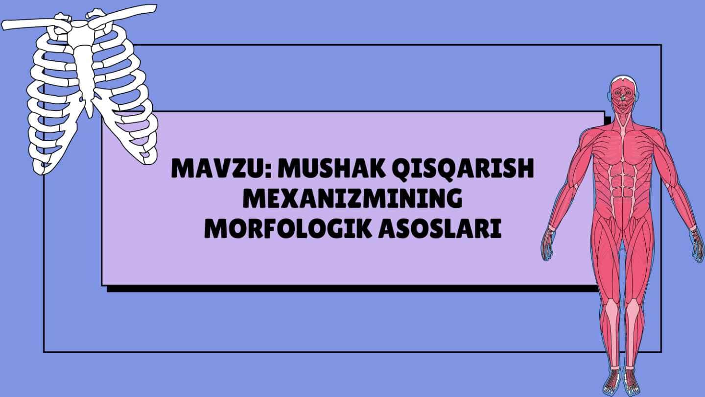 MUSHAK QISQARISH MEXANIZMINING MORFOLOGIK ASOSLARI