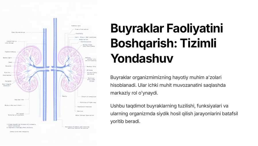 Buyraklar faoliyatining boshqarilishi. Ichki muhitning tarkibi va hajmi boshqarishida buyraklarning ahamiyati. Siydik konstentratsiyasi va hujayralararo suyuqlikning boshqarilishi.