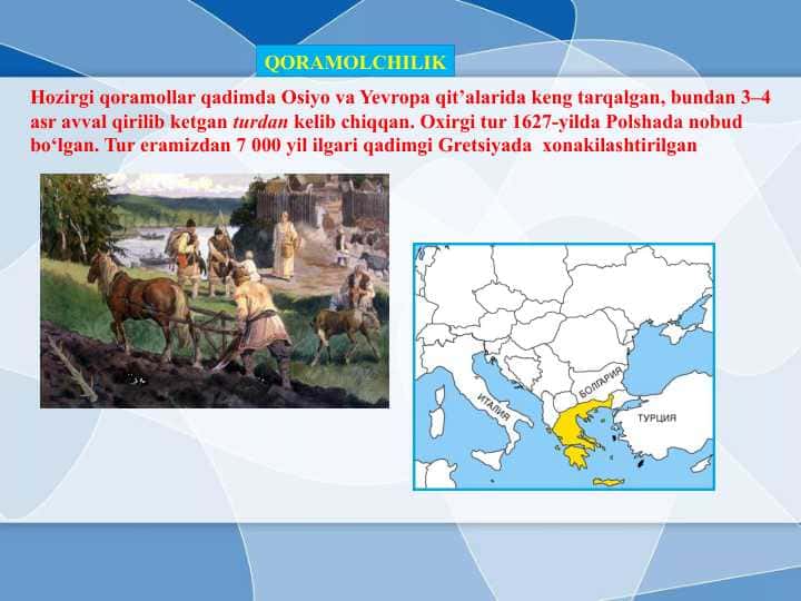 QORAMOLCHILIK