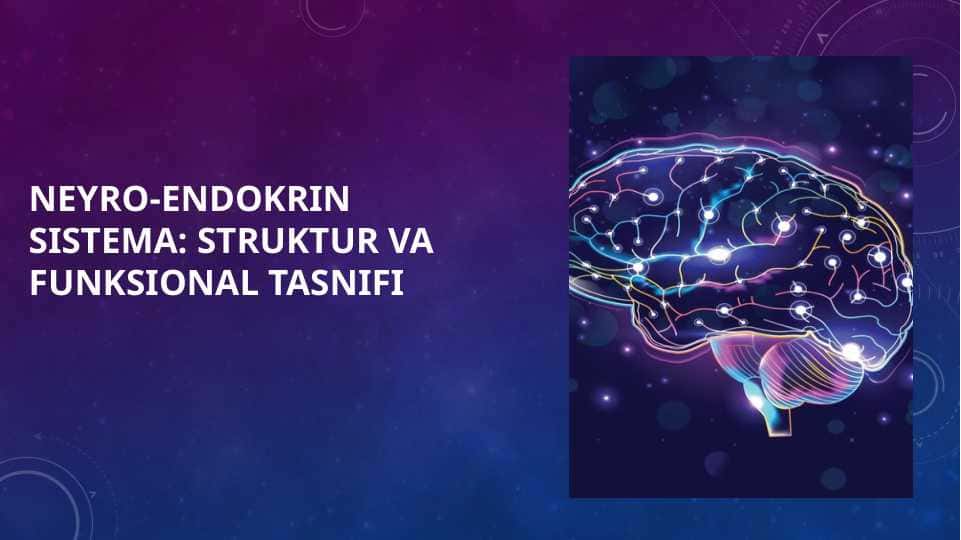 Neyro-endokrin Sistema : Struktur va Funksional Tasnifi