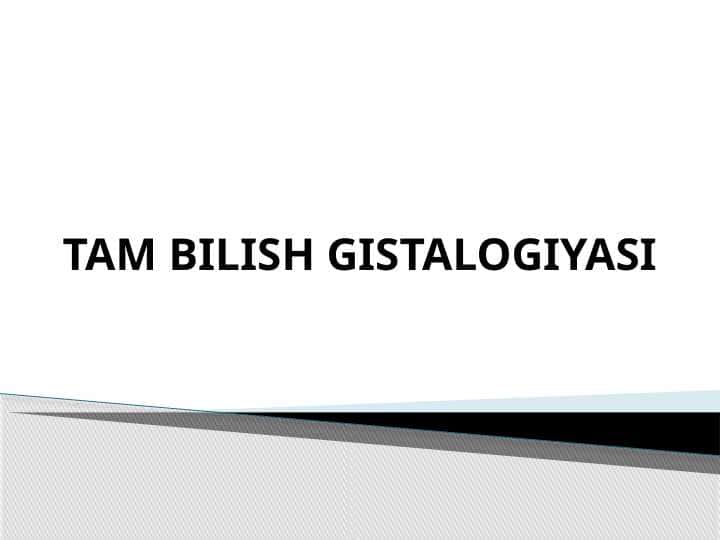 TAM BILISH GISTALOGIYASI Там билиш гистологияси