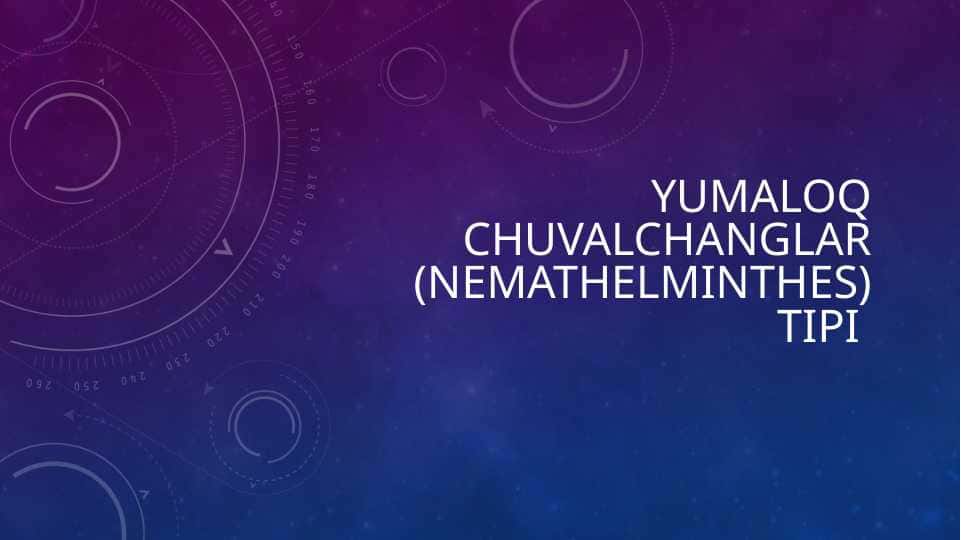 YUMALOQ CHUVALCHANGLAR (NEMATHELMINTHES) TIPI