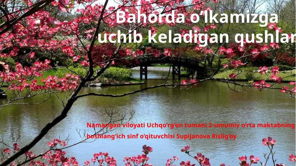 Bahorda o’lkamizga uchib keladigan qushlar