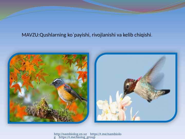 Qushlarning ko`payishi, rivojlanishi va kelib chiqishi.