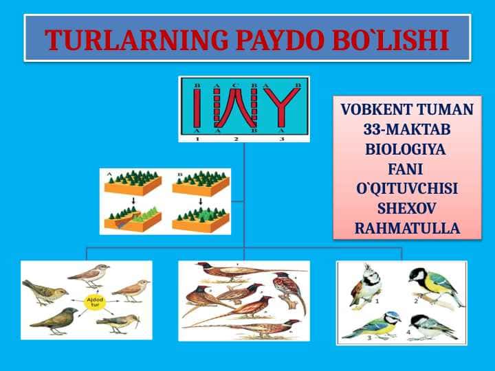 TURLARNING PAYDO BO`LISHI
