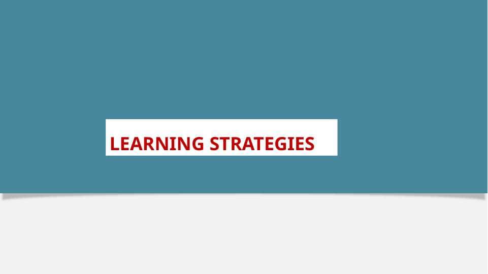 LEARNING STRATEGIES