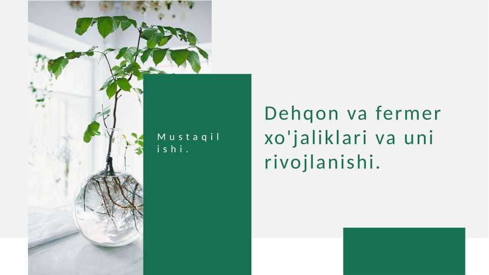 Dehqon va fermer xo'jaliklari va uni rivojlanishi
