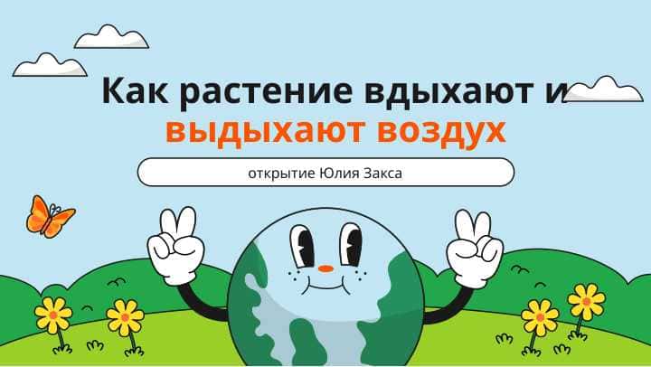 Как растение вдыхают и выдыхают воздух (открытие Юлия Закса)