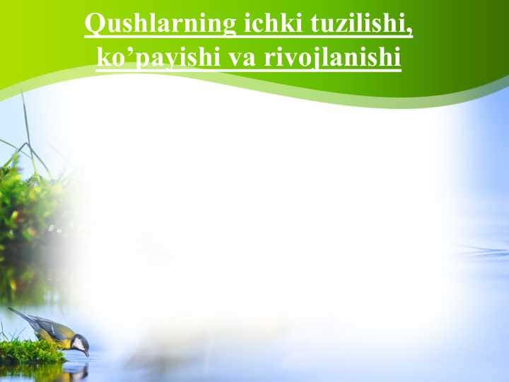 Qushlarning ichki tuzilishi, ko’payishi va rivojlanishi