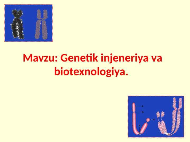 Genetik injeneriya va biotexnologiya