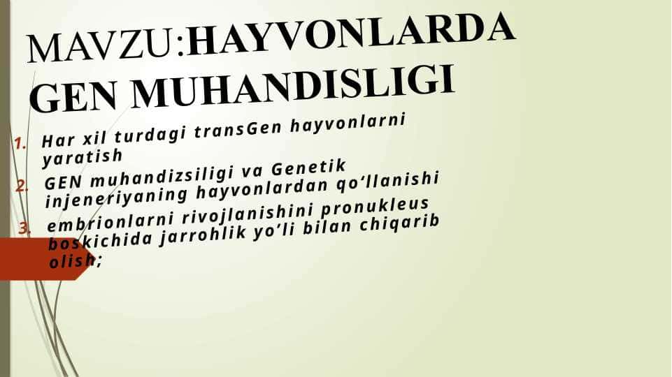 HAYVONLARDA GEN MUHANDISLIGI
