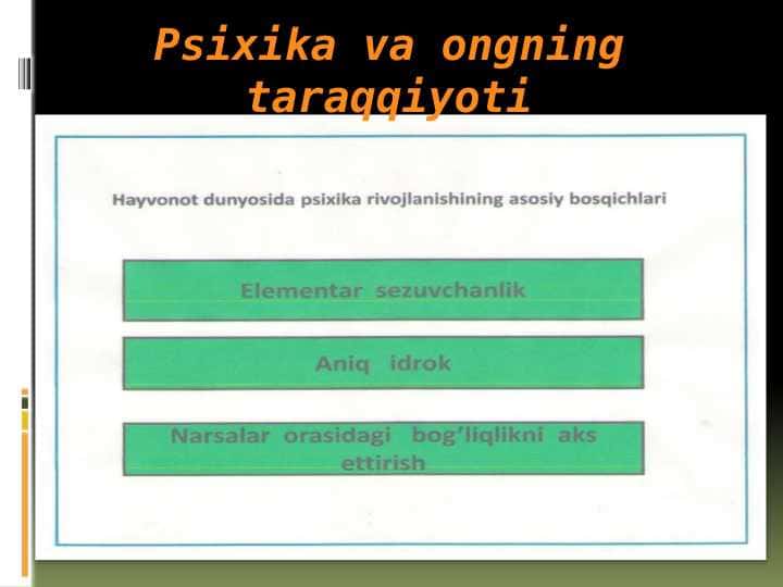 Psixika va ongning taraqqiyoti (2)