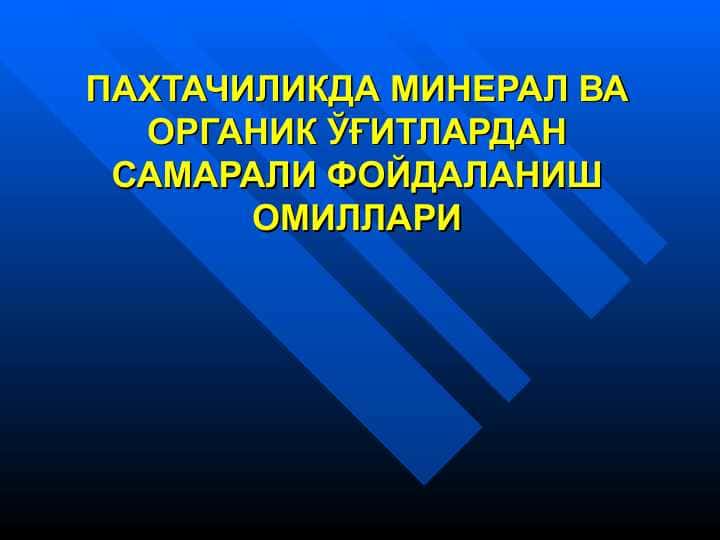 ПАХТАЧИЛИКДА МИНЕРАЛ ВА ОРГАНИК ЎҒИТЛАРДАН САМАРАЛИ ФОЙДАЛАНИШ ОМИЛЛАРИ