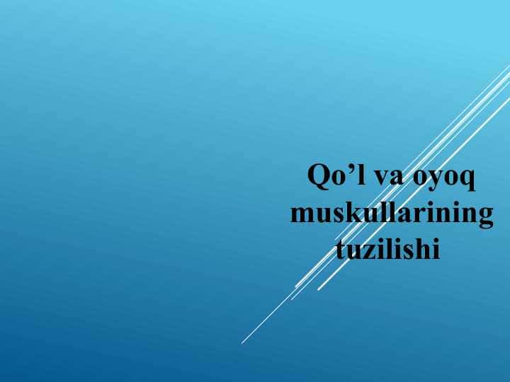 Qo’l va oyoq muskullarining tuzilishi