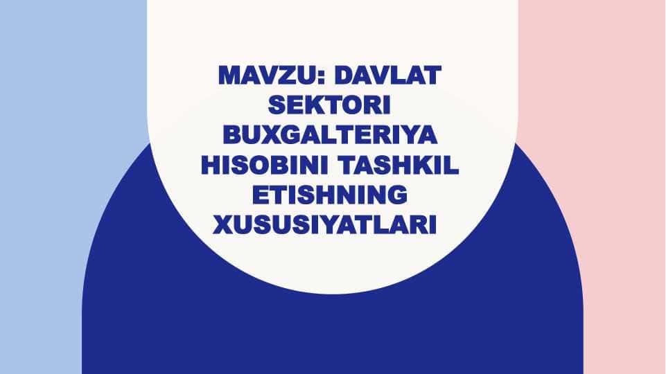 Davlat sektori buxgalteriya hisobini tashkil etishning xususiyatlari
