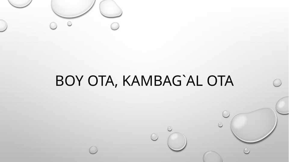 Boy ota, kambag'al ota