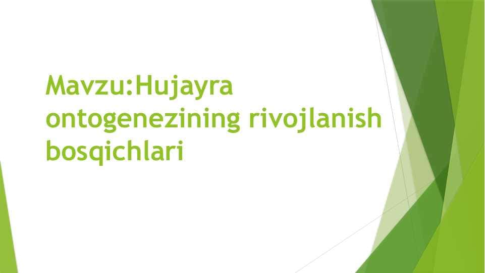 Hujayra ontogenezining rivojlanish bosqichlari