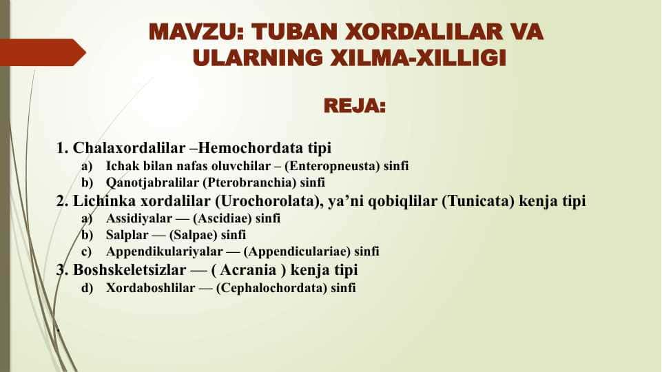 TUBAN XORDALILAR VA ULARNING XILMA-XILLIGI