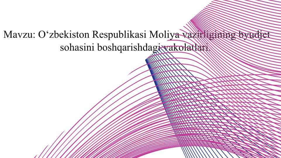 O‘zbekiston Respublikasi Moliya vazirligining byudjet sohasini boshqarishdagi vakolatlari.
