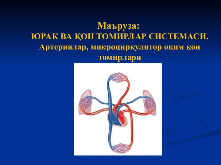 ЮРАК ВА ҚОН ТОМИРЛАР СИСТЕМАСИ. Артериялар, микроциркулятор оқим қон томирлари