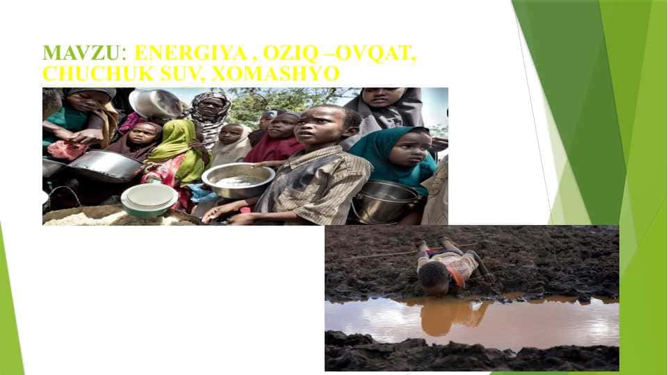 ENERGIYA , OZIQ –OVQAT, CHUCHUK SUV, XOMASHYO MUAMMOLARI