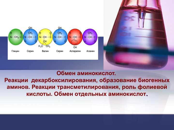 Обмен аминокислот