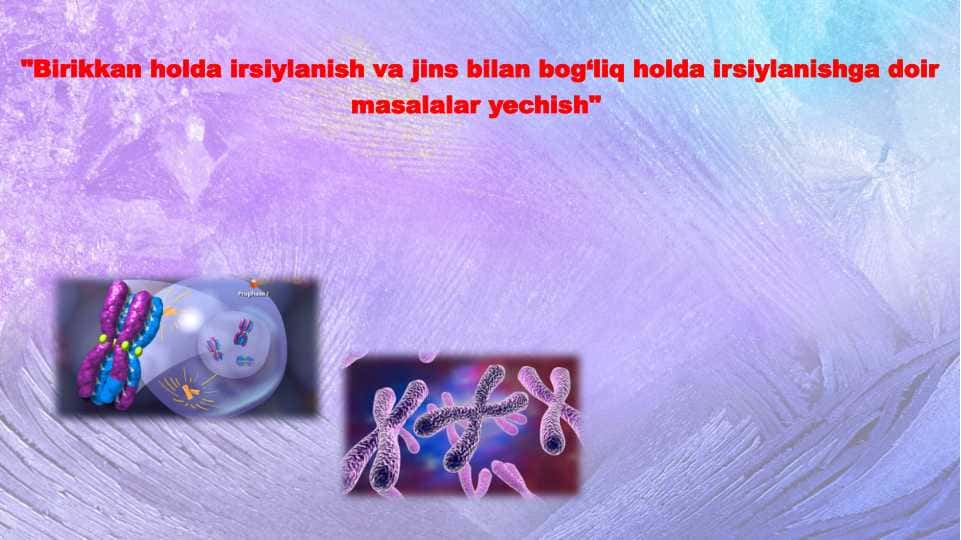 Birikkan holda irsiylanish va jins bilan bog‘liq holda irsiylanishga doir masalalar yechish