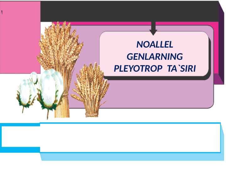 NOALLEL GENLARNING PLEYOTROP TA`SIRI