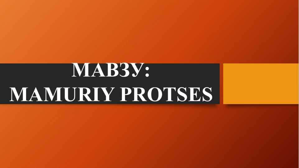 MAMURIY PROTSES
