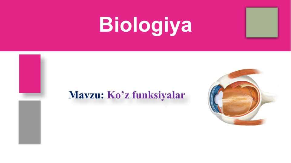 Ko’z funksiyalar