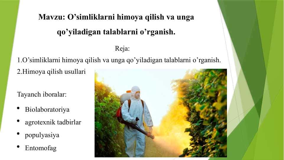 O’simliklarni himoya qilish va unga qo’yiladigan talablarni o’rganish